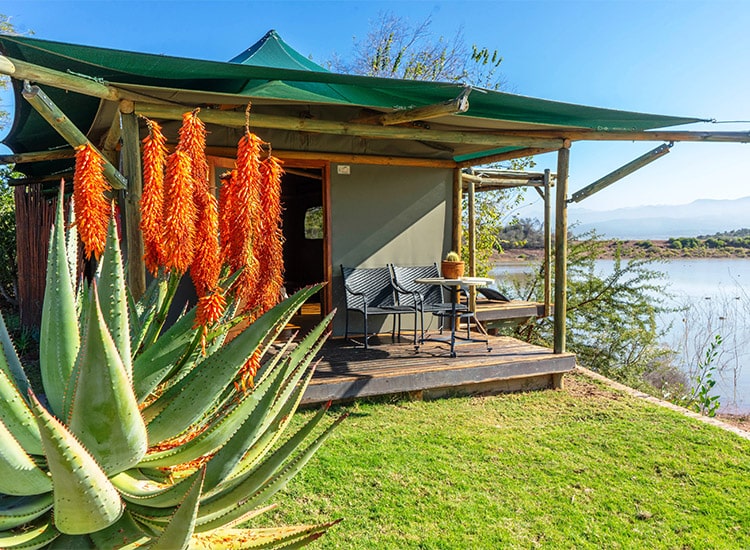 Buffelsdrift Game Lodge