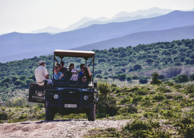 Buffelsdrift Game Lodge Activities